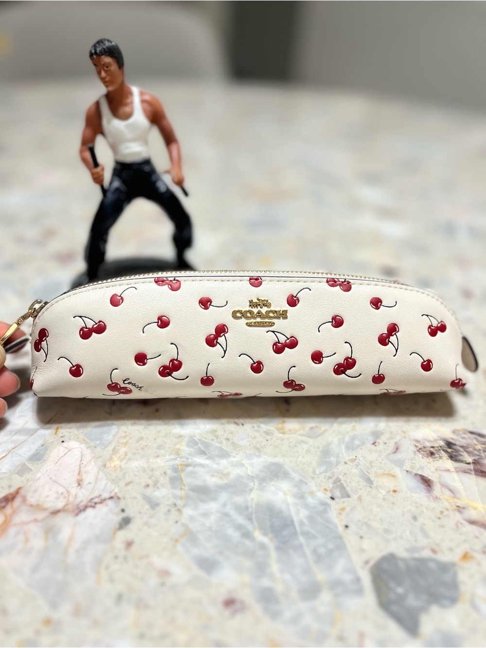 NEW Coach Cherry Print Pencil Case CFA45 Gold/Chalk Multi